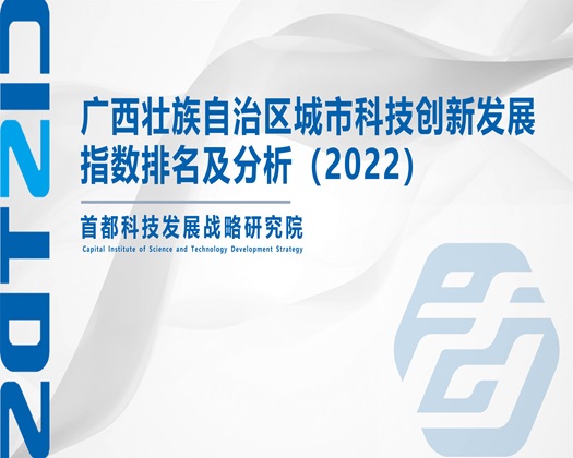 美女屄免费在线观看地址【成果发布】广西壮族自治区城市科技创新发展指数排名及分析（2022）